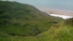 WP_20170827_18_39_43_Pro