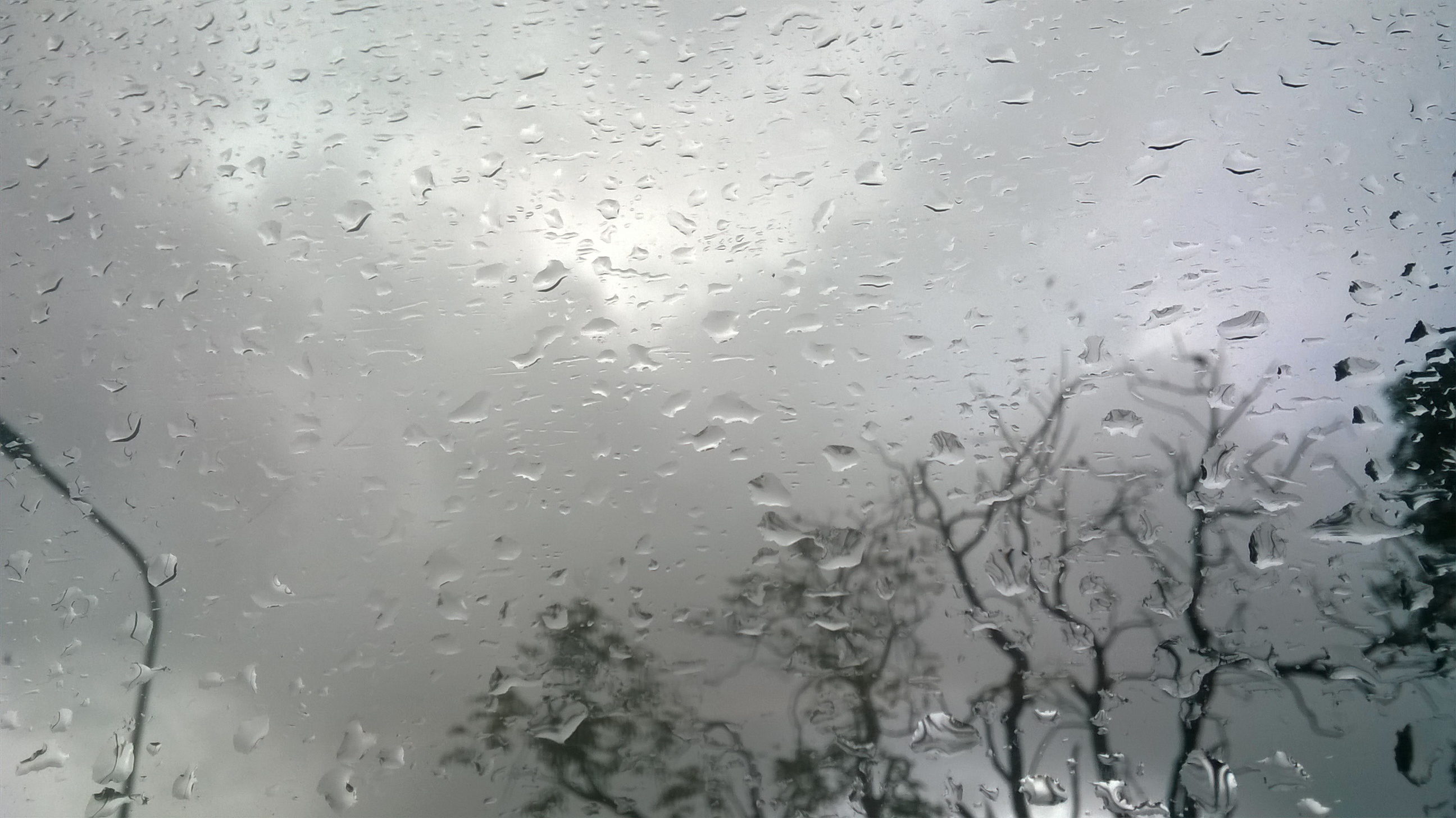 WP_20170916_10_54_02_Pro