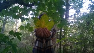 WP_20171014_12_08_01_Pro