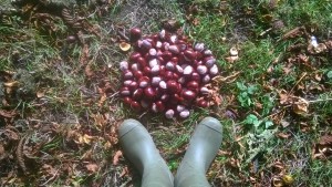 WP_20171014_12_31_04_Pro