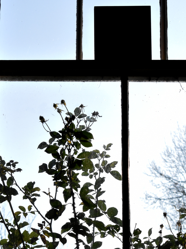 Taken on a Nikon D3500 with an 18.0 - 55.0mm lens. Focal Length 55.00mm Exposure 1/4000sec f/8 ISO 3200